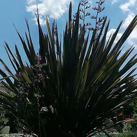 Le Jardin Serein