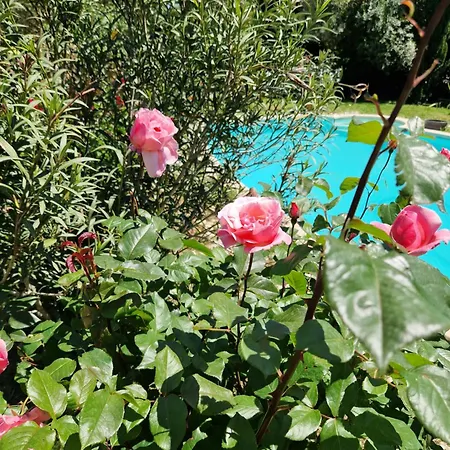 Le Jardin Serein Salindres