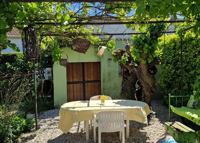 Le Jardin Serein Affittacamere Salindres