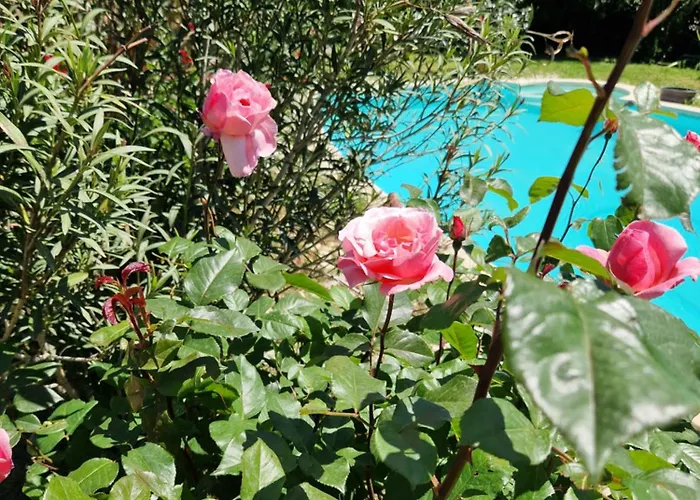 Le Jardin Serein Salindres
